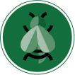Icon seguro