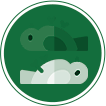 Icon seguro