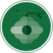 Icon seguro